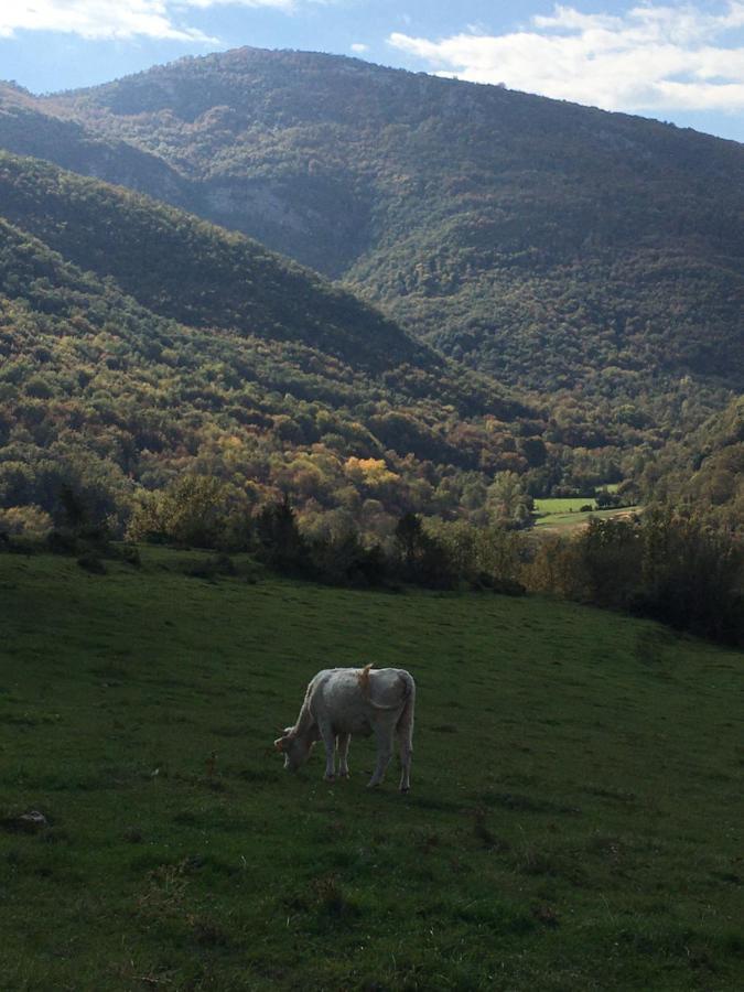 Pensjonat Mas Molladar Solo Adultos Camprodon Zewnętrze zdjęcie